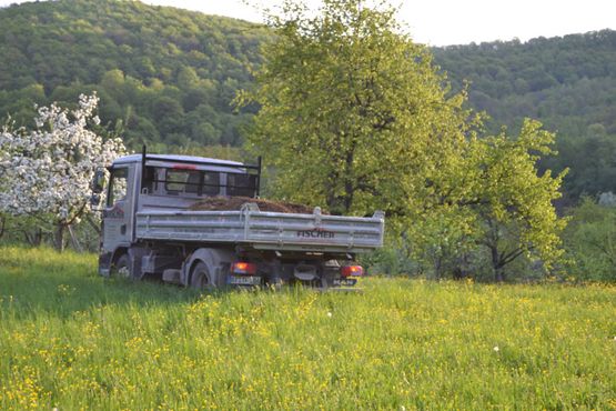 Thomas Fischer Transporter Ladefläche